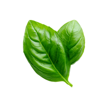 Tulsi &  Mint