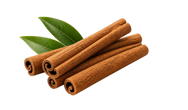 CINNAMON — botanical ingredient in Velora herbal sleep tea by Maison De Jarin