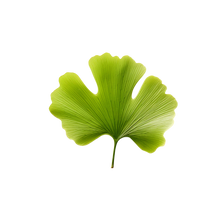Lemon Balm & Ginkgo
