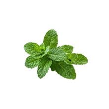 Spearmint