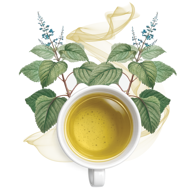 THE TULSI
