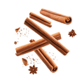 Cinnamon & Star Anise