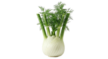 Fennel & Cardamom