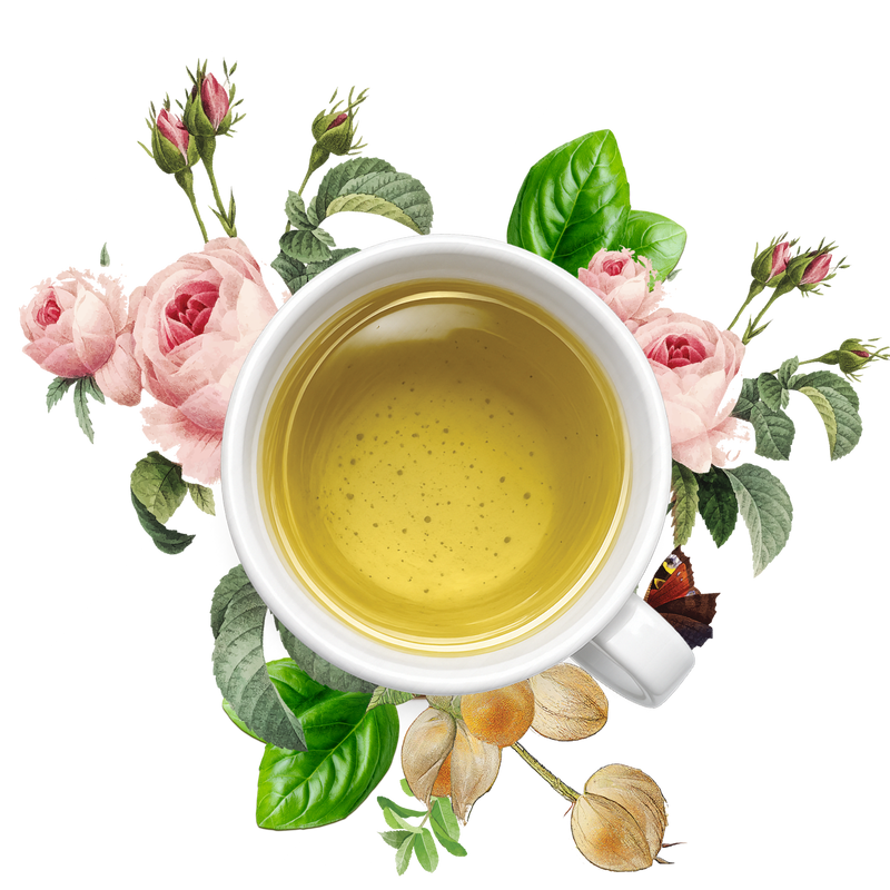HERBAL SAMPLER PACK