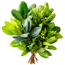 Ancient Herbs